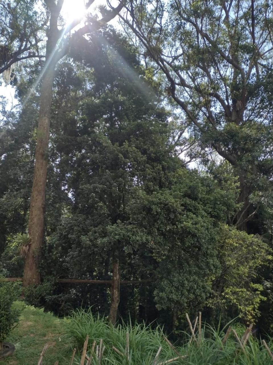 Seasonal In Rj * Petropolis (Rio de Janeiro)